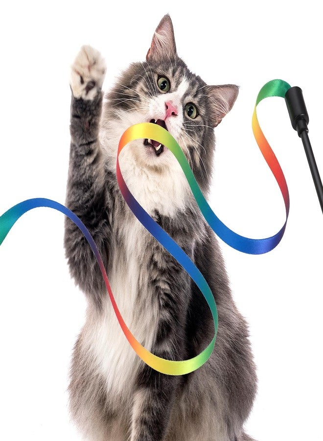 Amaxiu Cat Wand Toy Set, Interactive Cat Wand Toy with Rainbow Ribbon String, Rainbow Cloth String, Leopard Print Cloth String for Small Cats Kittens Indoor Training Catcher (3 Packs) - Image 4